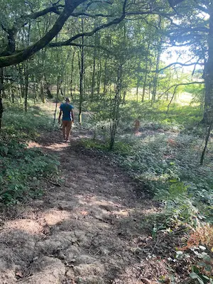 Parcours en forêt sur un chemin naturel du sentier pieds nus du Domaine de Larrous – Domaine de Larrous, Gaujacq (Landes)