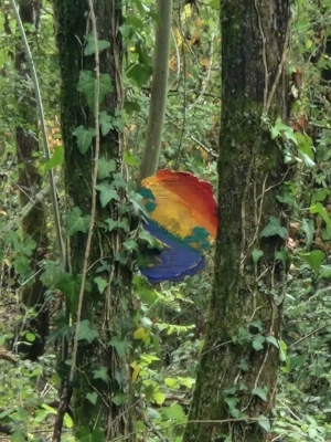 Décoration colorée suspendue entre les arbres sur le sentier pieds nus du Domaine de Larrous – Domaine de Larrous, Gaujacq (Landes)