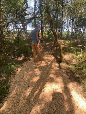 Adulte marchant pieds nus sur des copeaux de miscanthus sur le sentier pieds nus du Domaine de Larrous – Domaine de Larrous, Gaujacq (Landes)