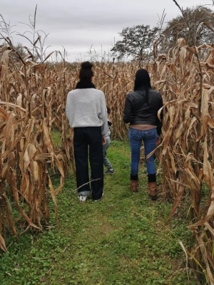 Famille se promenant dans un labyrinthe de maïs lors de l’événement Halloween au Labyrinthe de Chalosse – Domaine de Larrous, Gaujacq (Landes)