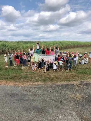 Enfants et familles participant à une animation au Labyrinthe de Chalosse dans les Landes devant le champ de maïs – Domaine de Larrous, Gaujacq (Landes)